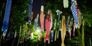 "Tango in the Night." Image by Shinichi Higashi, May 6, 2013. Available via Flickr.