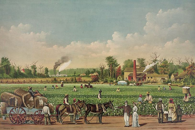  1884 lithograph of a cotton plantation on the Mississippi. Image available via Wikimedia Commons. 